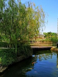Bullion Park (D26), Condominium #456795271